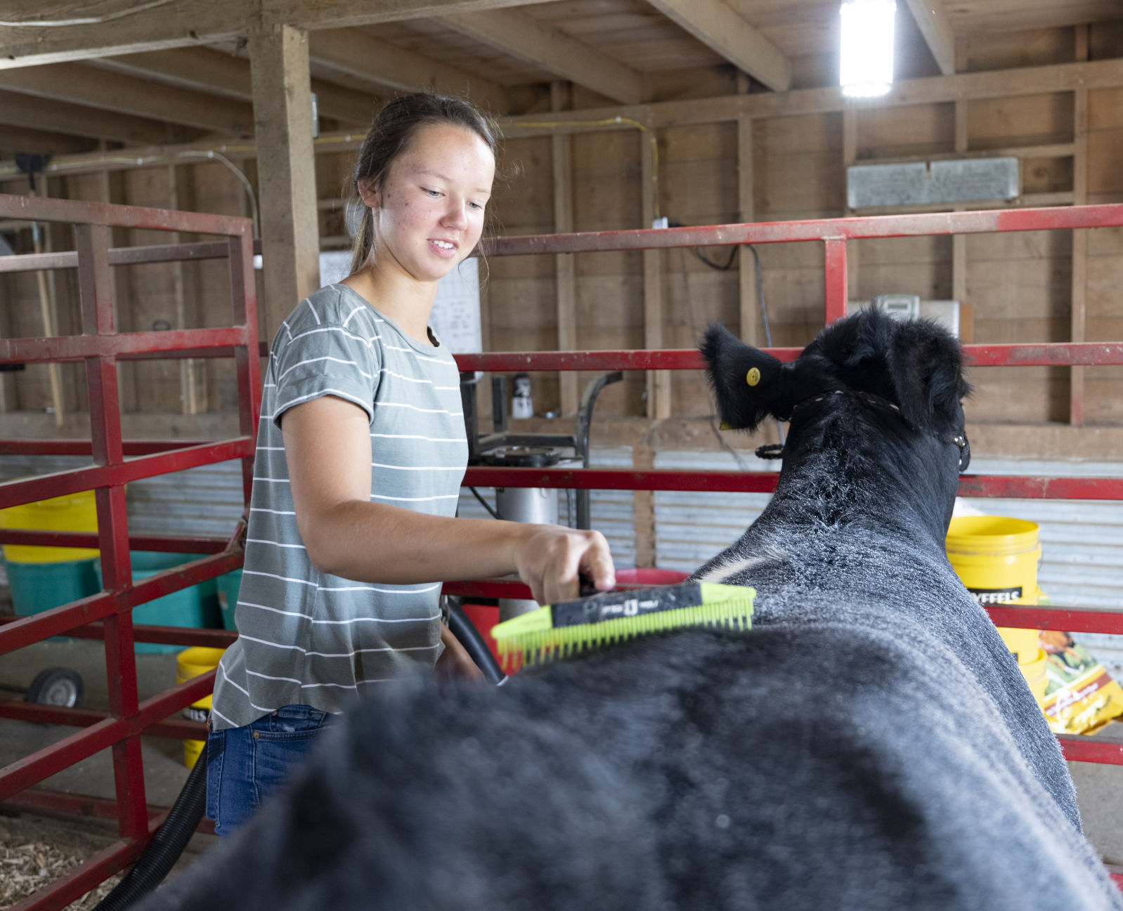 Plymouth County Fair Preview